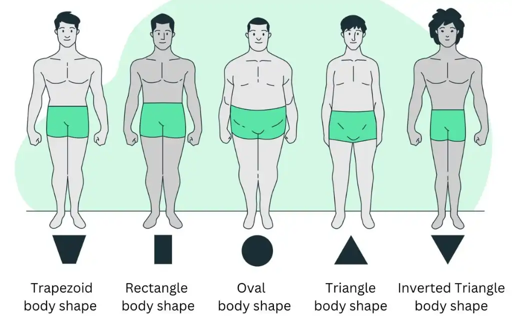 Body Shapes